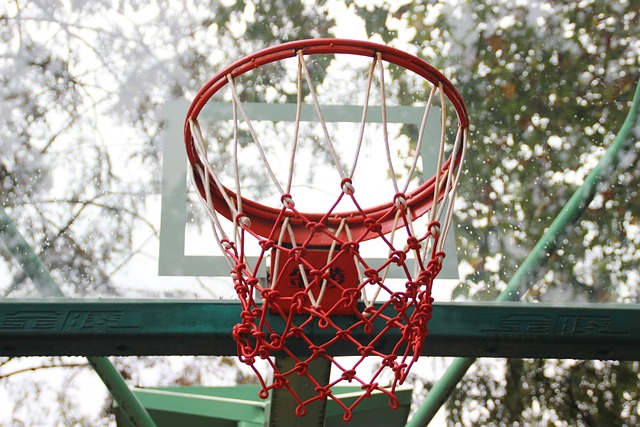 Guide complet pour l’achat du panier de basket idéal : trouvez votre match parfait